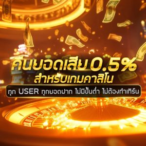 คืนยอดเสีย PPA168